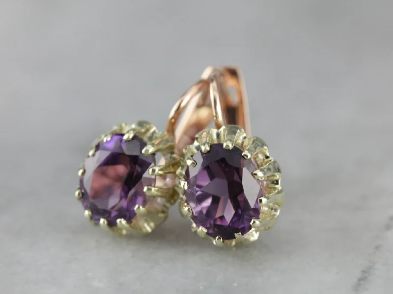 Ladies earrings garnet red earrings-Amethyst Two Tone Gold Drop Earrings