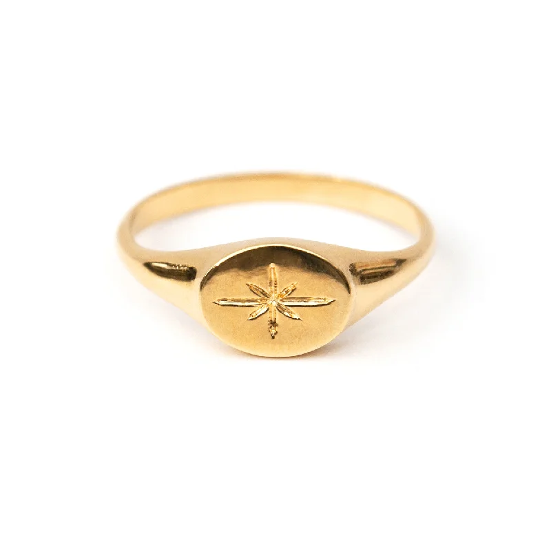 Ladies rings cluster ring styles-Sirius Gold Vermeil Ring