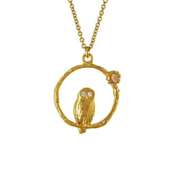 Ladies necklaces red diamond styles-Alex Monroe Owl And Moonstone Necklace